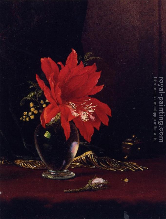 Martin Johnson Heade : Red Flower in a Vase